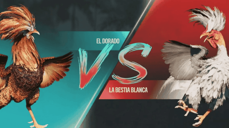 5566jogo Plataforma de e-sports